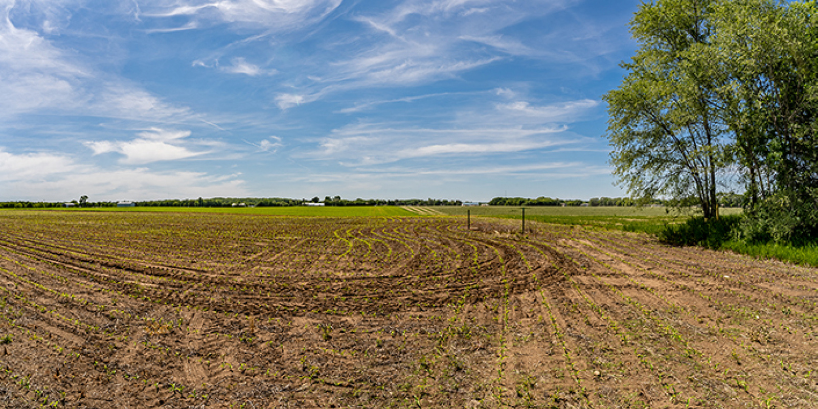 Saint August MN St. Cloud Land Development 93.35 Acres, Large Land Development, Real Estate Development, Industrial Development, Multi Purpose Development Land